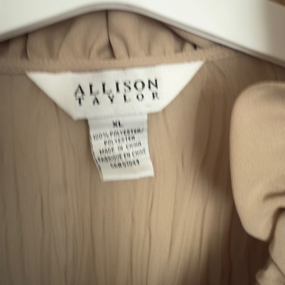 Allison Taylor Ruffle Front Button Blouse Beige | Size XL - Picture 7 of 7